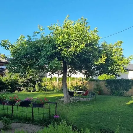 Kamp Camping Under The Walnut In Your Own Tent On A Shared Lot And Shared Bathroom Ljubljana