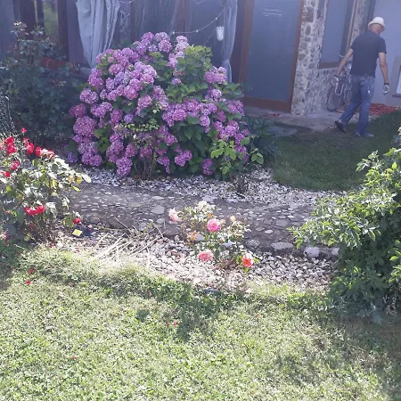 Camping Under The Walnut In Your Own Tent On A Shared Lot And Shared Bathroom Kamp *