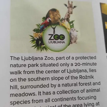 Kamp Camping Under The Walnut In Your Own Tent On A Shared Lot And Shared Bathroom