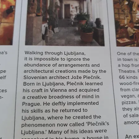 Camping Under The Walnut In Your Own Tent On A Shared Lot And Shared Bathroom Kamp