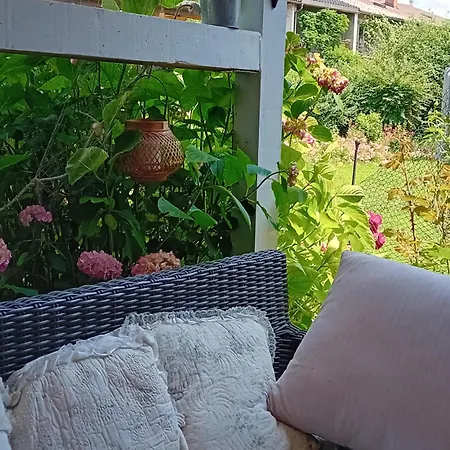 Camping Under The Walnut In Your Own Tent On A Shared Lot And Shared Bathroom *