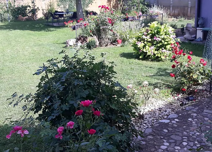 Camping Under The Walnut In Your Own Tent On A Shared Lot And Shared Bathroom *