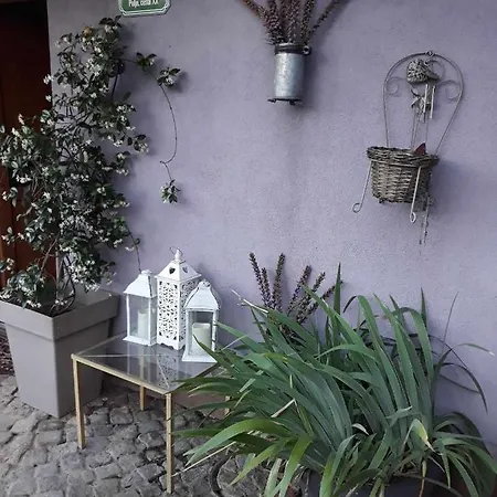 Camping Under The Walnut In Your Own Tent On A Shared Lot And Shared Bathroom Kamp Ljubljana