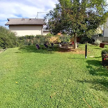 Campsite Camping Under The Walnut In Your Own Tent On A Shared Lot And Shared Bathroom Ljubljana