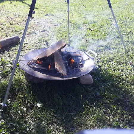 Camping Under The Walnut In Your Own Tent On A Shared Lot And Shared Bathroom Campsite