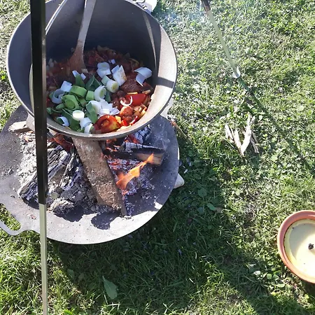 Camping Under The Walnut In Your Own Tent On A Shared Lot And Shared Bathroom אתר קמפינג