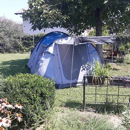 אתר קמפינג Camping Under The Walnut In Your Own Tent On A Shared Lot And Shared Bathroom *