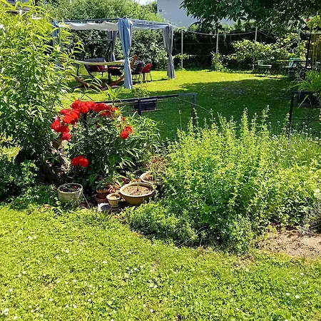 Camping Under The Walnut In Your Own Tent On A Shared Lot And Shared Bathroom Campsite Ljubljana