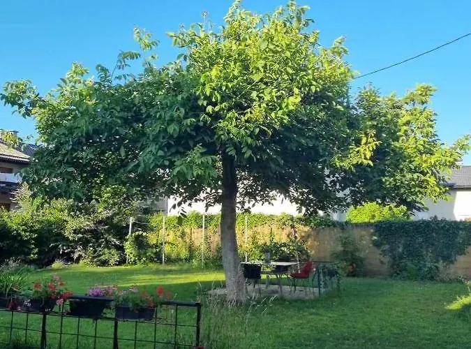 Kemp Camping Under The Walnut In Your Own Tent On A Shared Lot And Shared Bathroom Lublaň