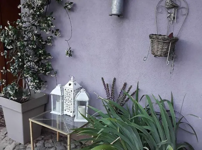 Camping Under The Walnut In Your Own Tent On A Shared Lot And Shared Bathroom Camping Ljubljana