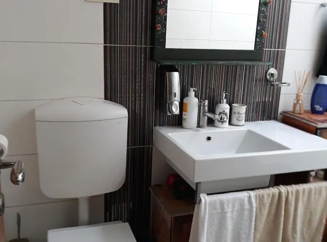 Camping Under The Walnut In Your Own Tent On A Shared Lot And Shared Bathroom