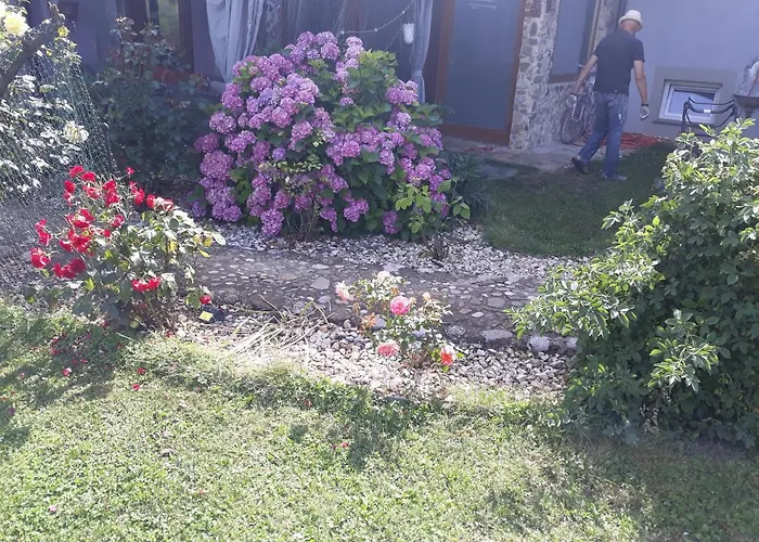 Camping Under The Walnut In Your Own Tent On A Shared Lot And Shared Bathroom Kemp *