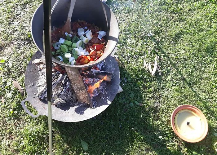 Camping Under The Walnut In Your Own Tent On A Shared Lot And Shared Bathroom Camping