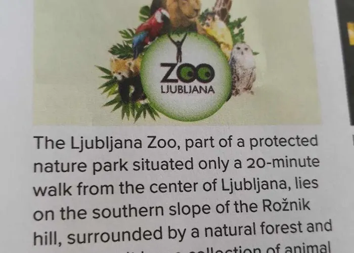 Camping Camping Under The Walnut In Your Own Tent On A Shared Lot And Shared Bathroom