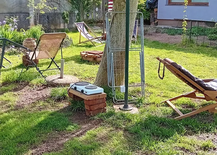 Camping Under The Walnut In Your Own Tent On A Shared Lot And Shared Bathroom