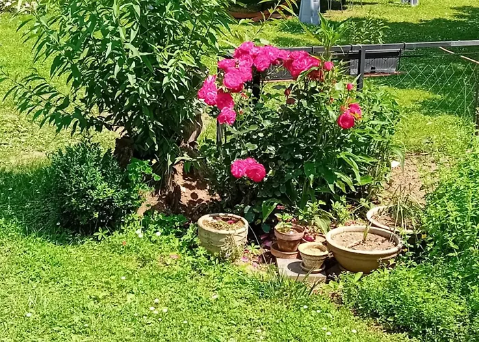 Camping Camping Under The Walnut In Your Own Tent On A Shared Lot And Shared Bathroom