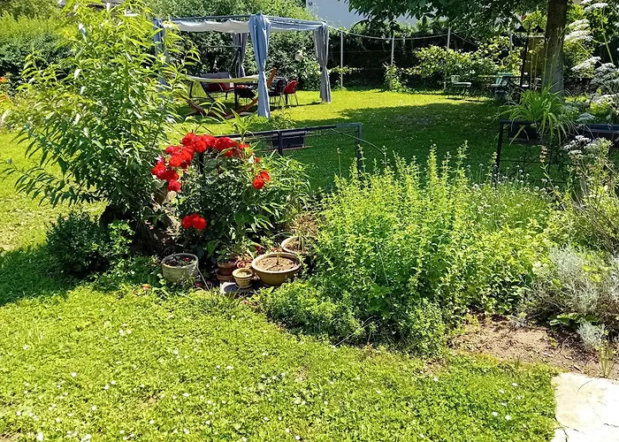 Camping Under The Walnut In Your Own Tent On A Shared Lot And Shared Bathroom Camping Ljubljana