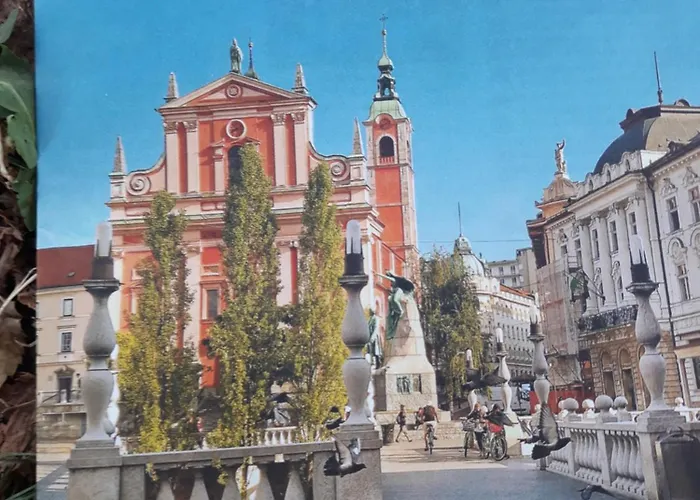 Camping Under The Walnut In Your Own Tent On A Shared Lot And Shared Bathroom 营地 *